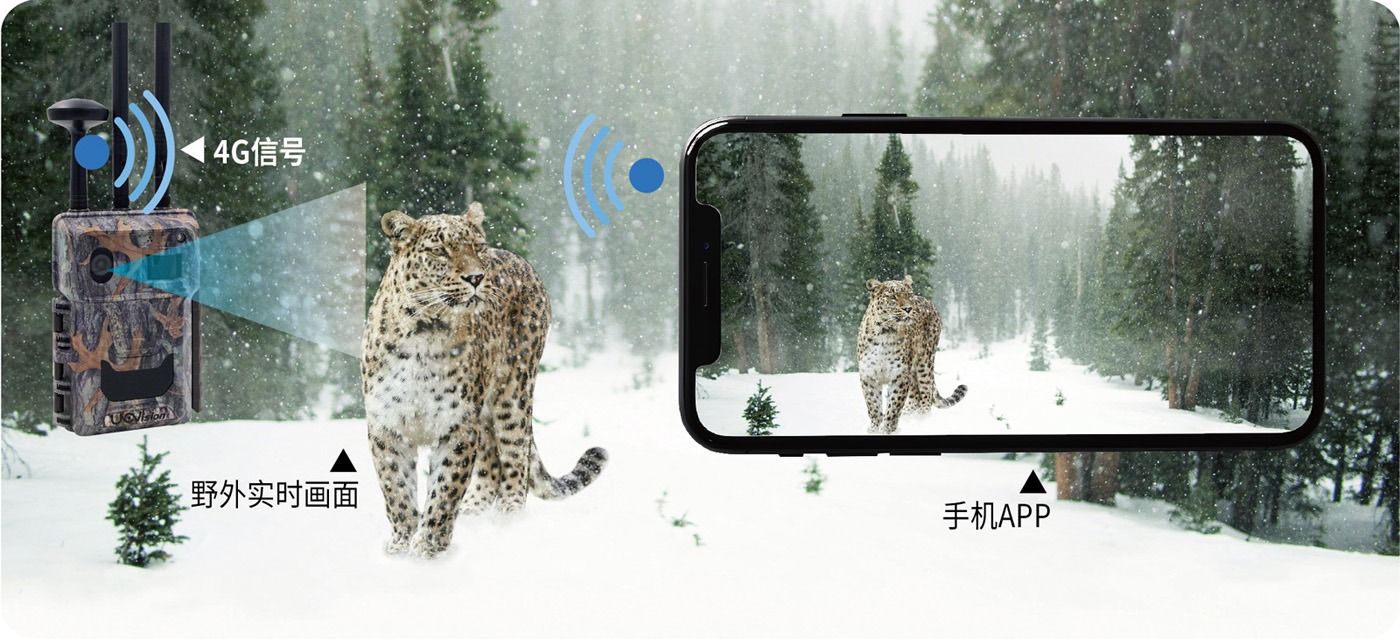 1713782905988333.jpg 實時直播-01.jpg