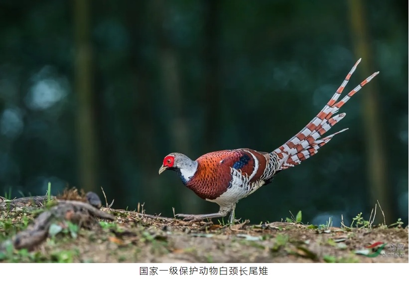 1714273366264377.png 1.png