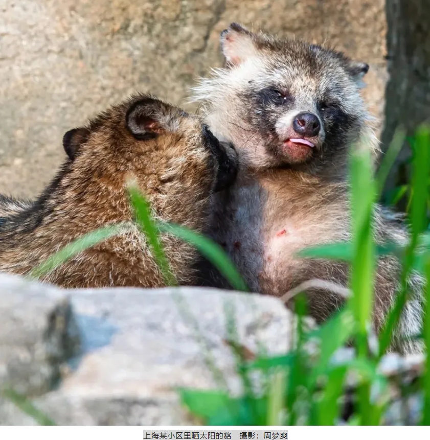 1714273913102653.png 2.png