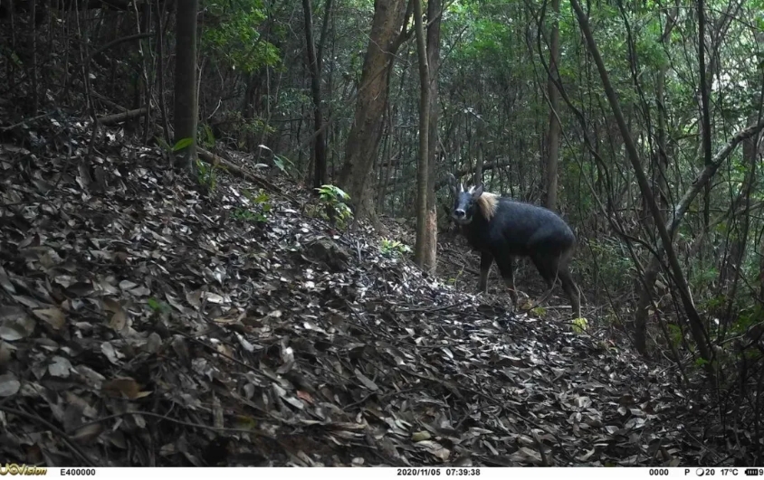 1714274560119190.png 3.png