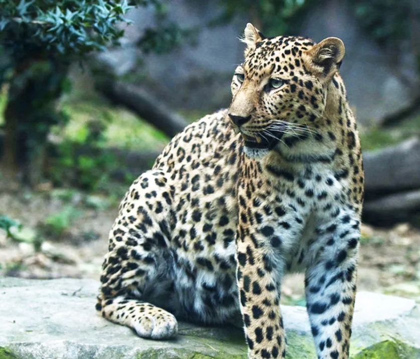 1714275749143367.png 1.png