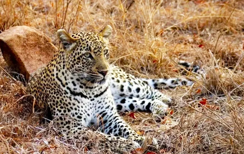 1714275762375050.png 2.png