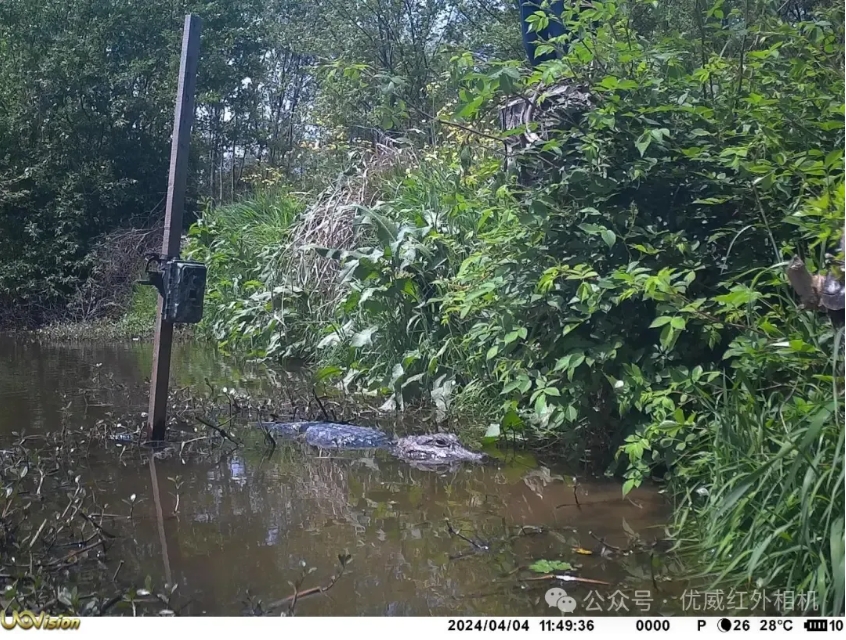 1715128165372868.png 微信截圖_20240508082542.png