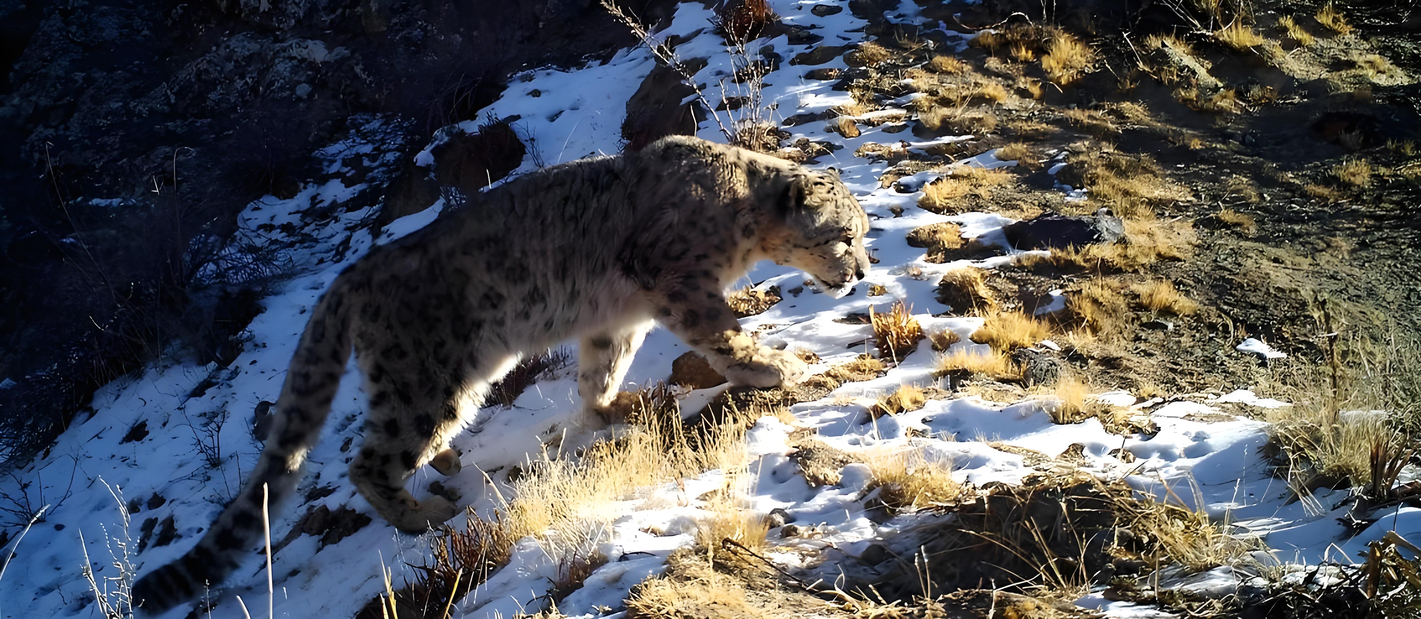 1718862910809486.jpg 795fcd4c-cd56-4661-86f9-76b923950b5d.jpg