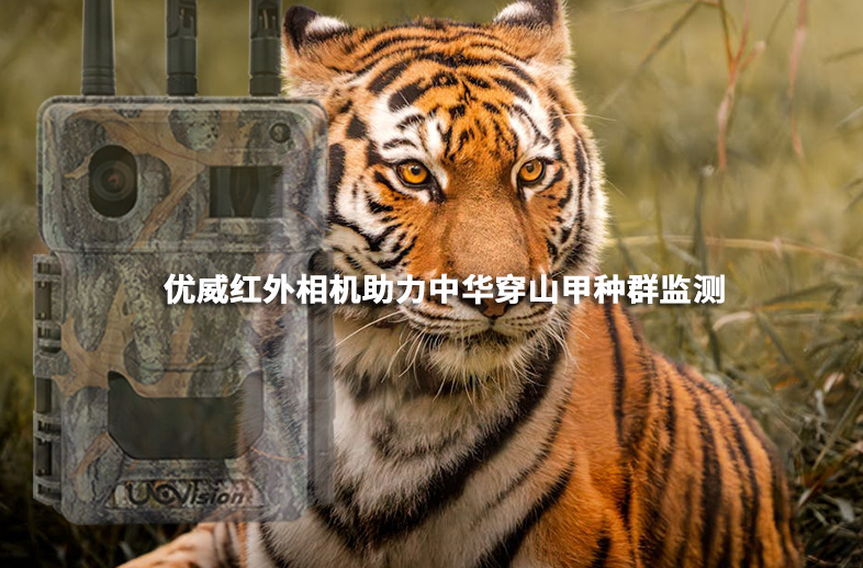  優(yōu)威紅外相機助力中華穿山甲種群監(jiān)測