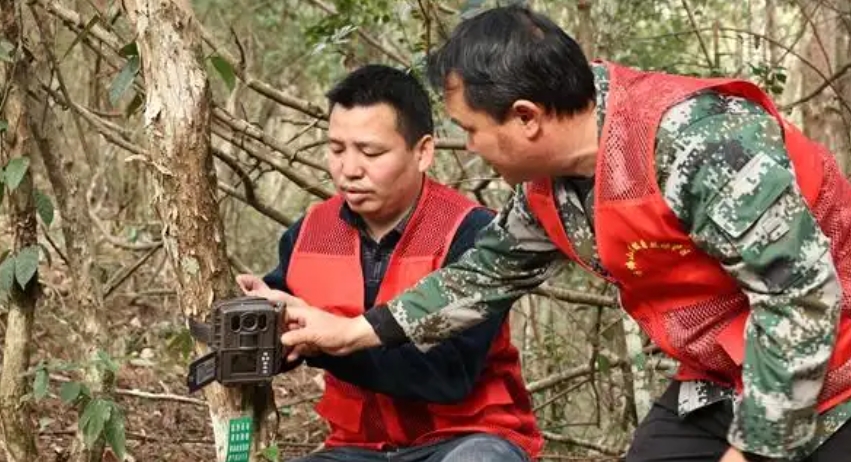 1737014247272078.png 11.png