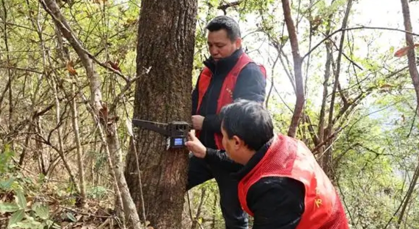 1737014256486564.png 22.png