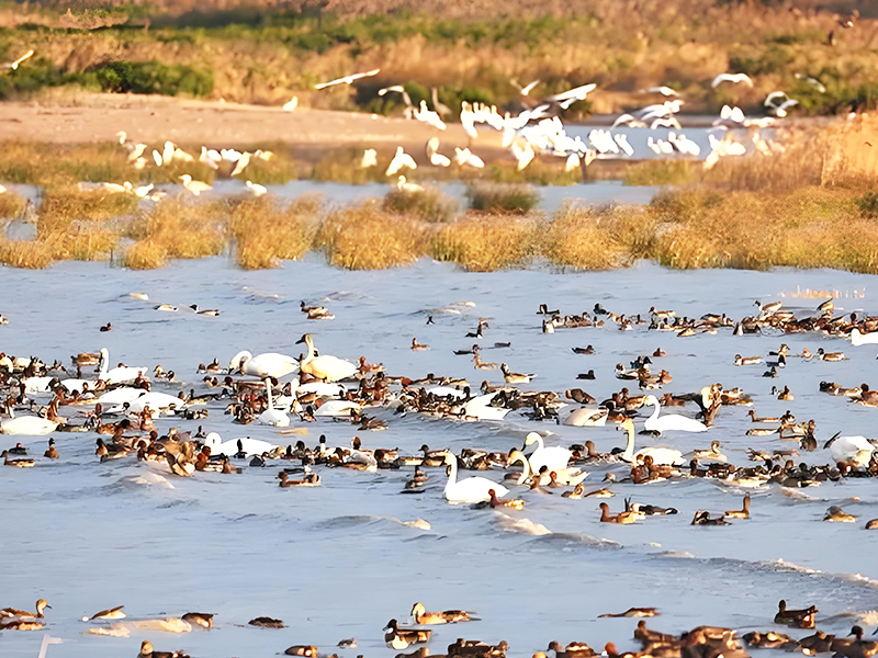 1741241720878846.jpg 未標題-4.jpg