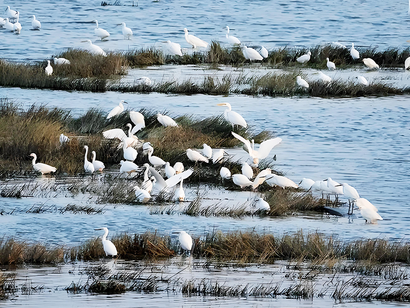 1741241828544794.jpg 未標題-3.jpg