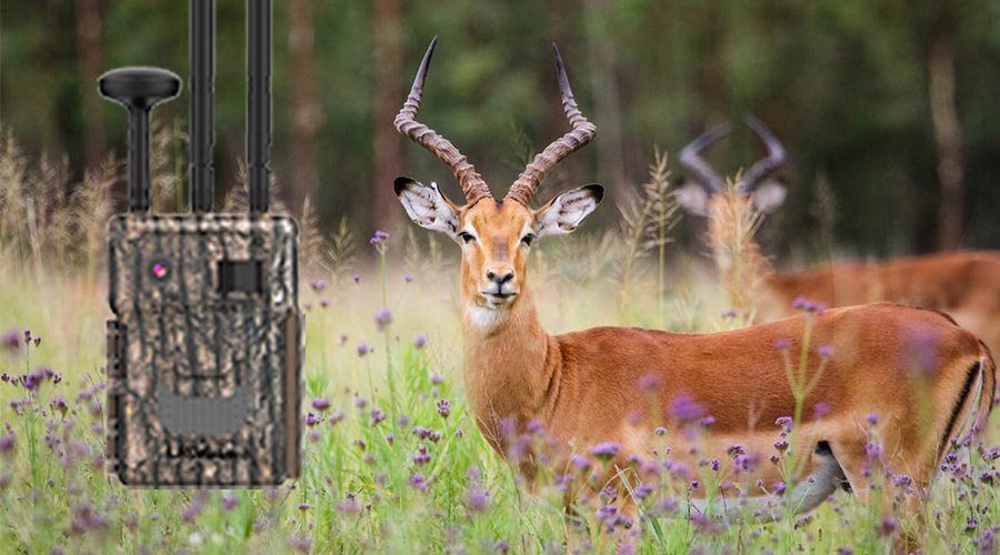 1741579060386557.jpg 未標題-2.jpg