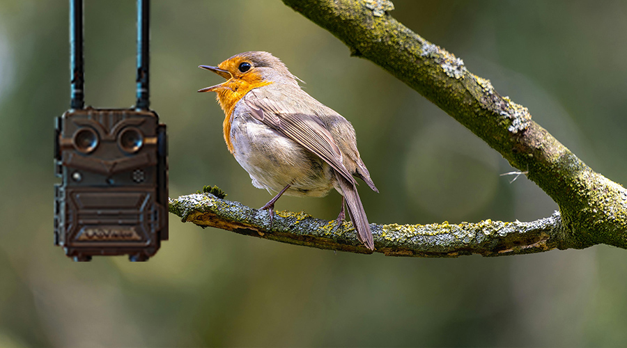 1741579080370494.jpg 未標題-3.jpg