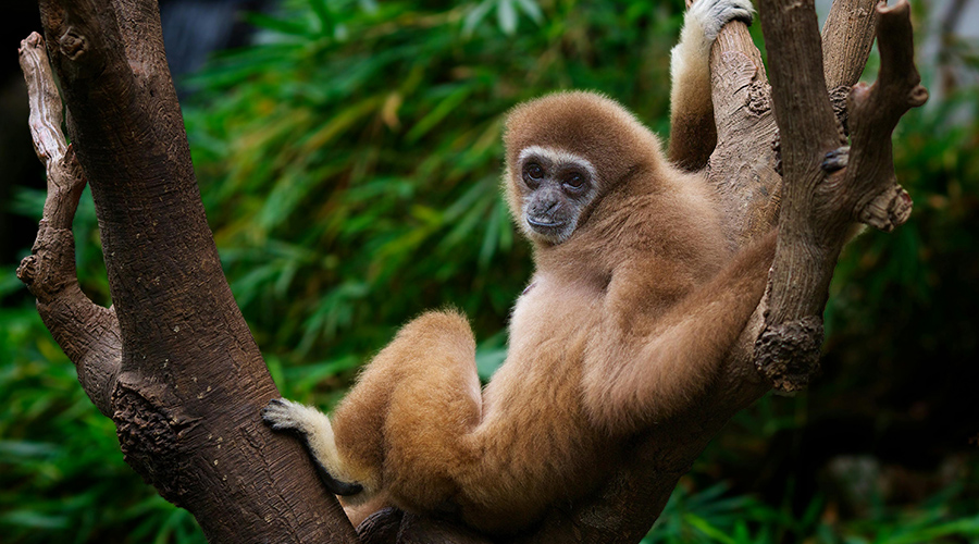 1741579139200409.jpg 未標題-5.jpg