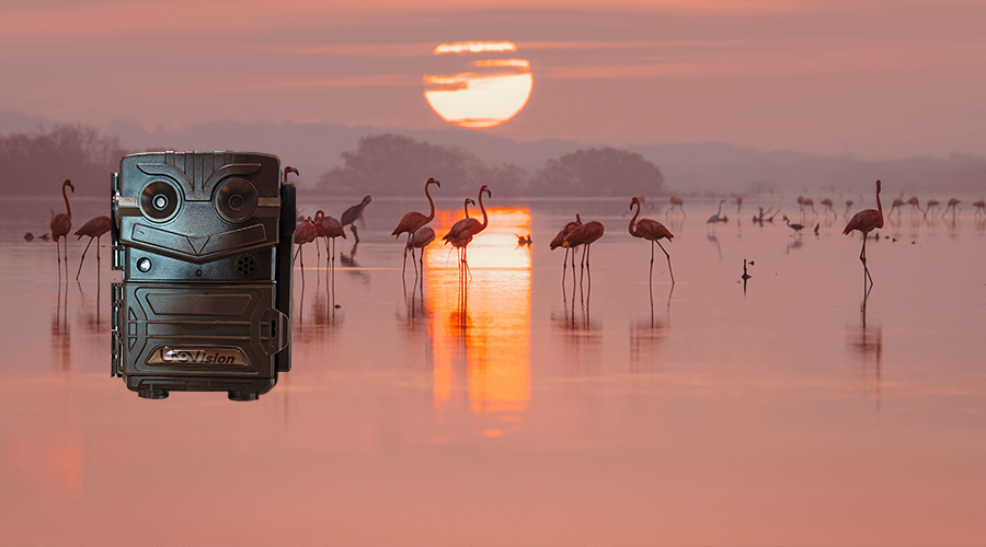 1741583930297076.jpg 44.jpg