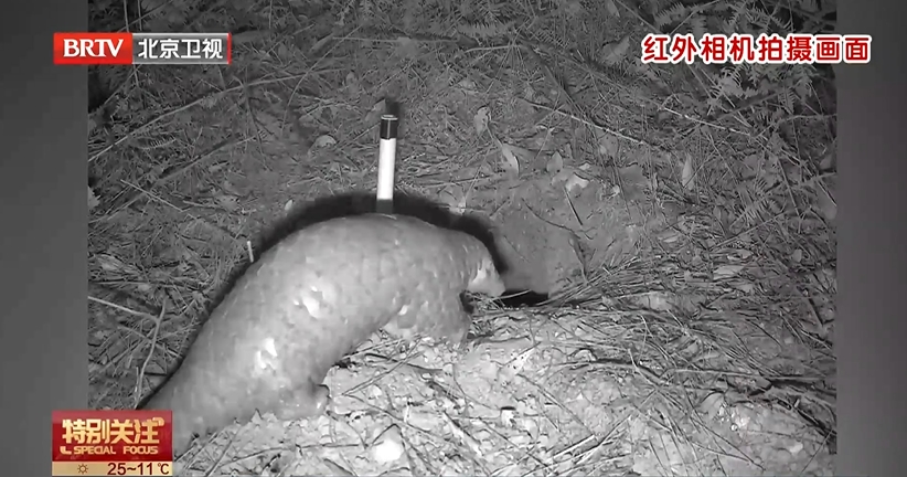 1745311908839302.png 微信截圖_20250422160447.png