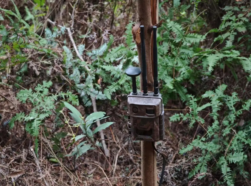 1745311926329468.png 微信截圖_20250422160517.png