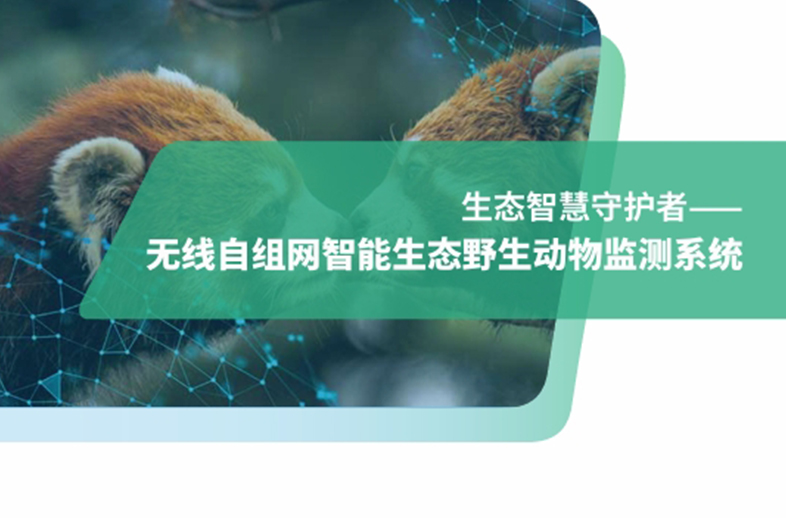 優威自組網紅外相機技術：突破野外無信號壁壘，助力野生動物監測
