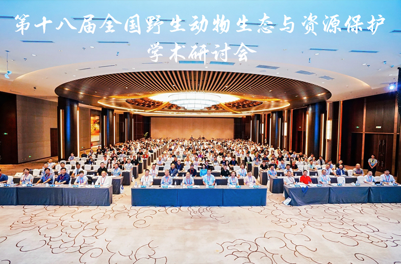 【深度解讀】第十八屆全國野生動物生態與資源保護學術研討會：一場關乎地球未來的“腦力風暴”