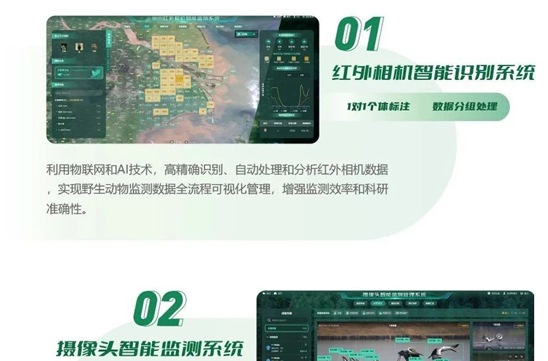 優威視訊推出生物多樣性監測系統，助力智慧林區管理升級。