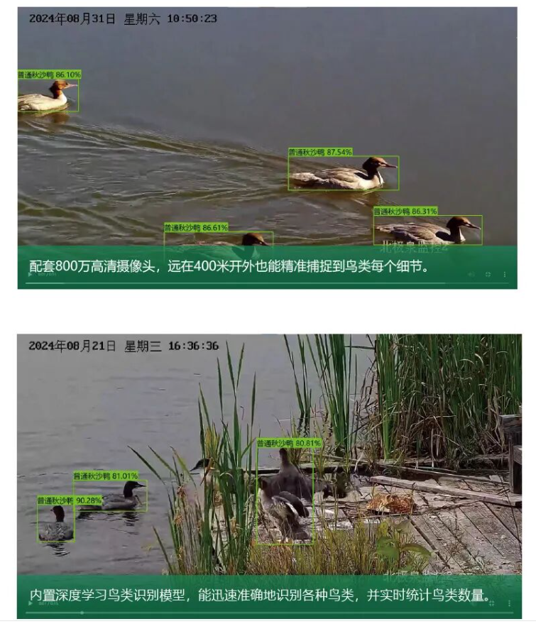 1757037728678902.png wechat_2025-09-05_094853_775.png